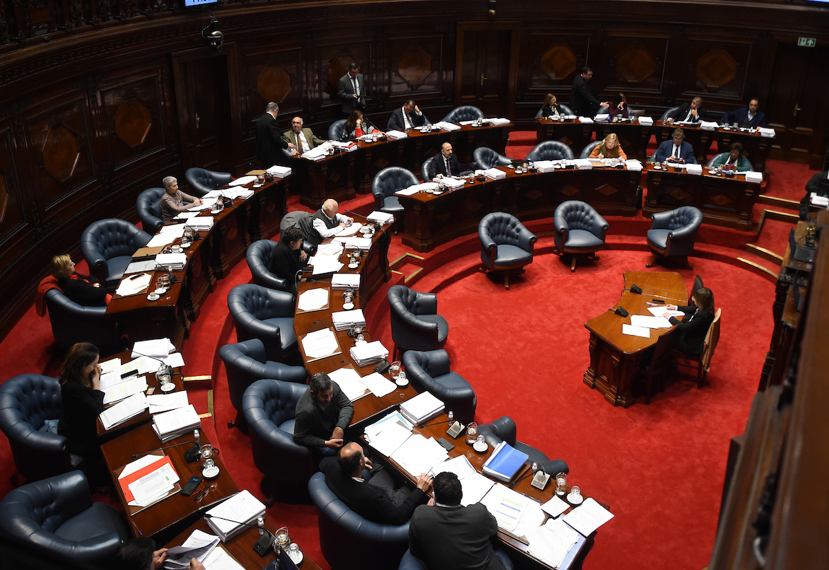 Senado comenzó este lunes a votar la Rendición de Cuentas: seguí el debate en vivo