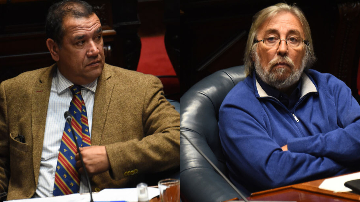 “Ves una vaca y te asustás”: Da Silva cruzó a González por cuota de carne cedida a Brasil
