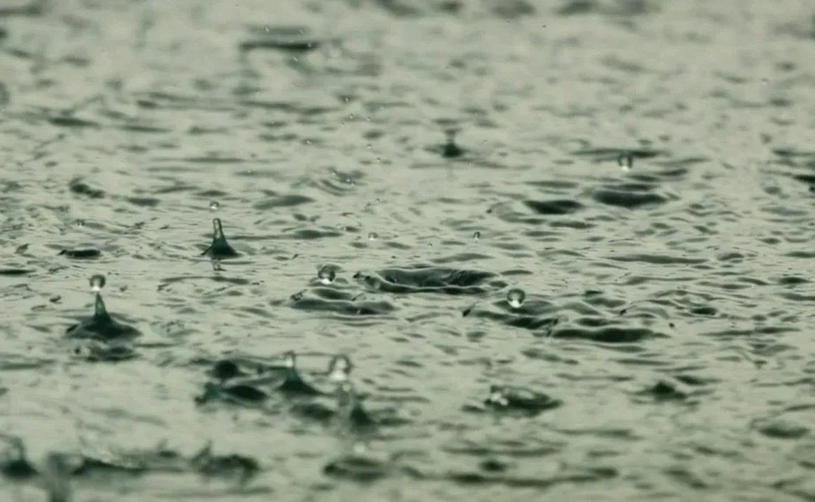 “Es espantoso” y “en bote”: el ominoso adelanto de meteorólogo con fecha fija