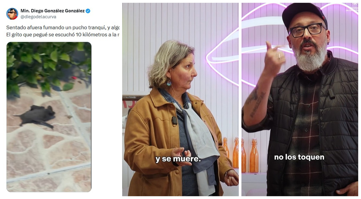 “No los toquen”: anécdota de Diego González con un murciélago se convirtió en advertencia
