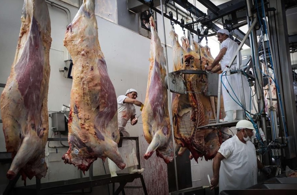 “Mala leche”: critican versiones de cierre de Frigorífico Tacuarembó en medio de crisis