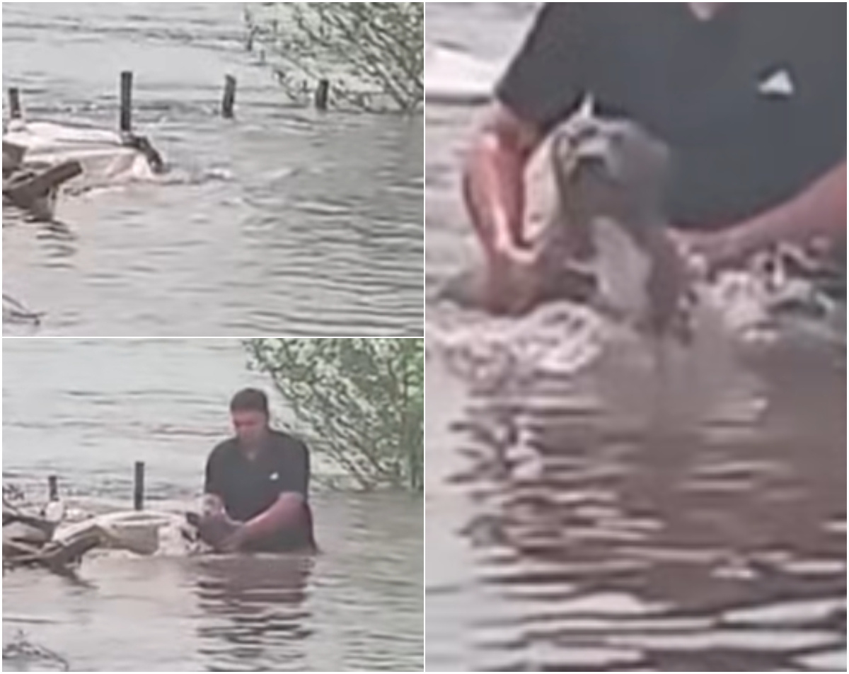 Un perro salvó su vida en las inundaciones de Artigas gracias a una bolsa de plástico