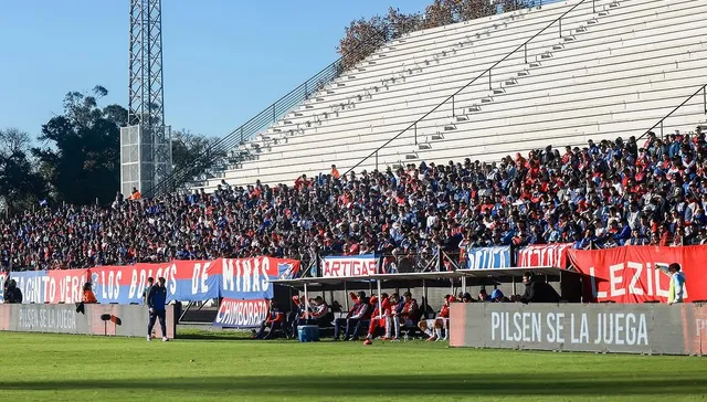 Pin y verde