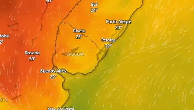 Volvió el verano
