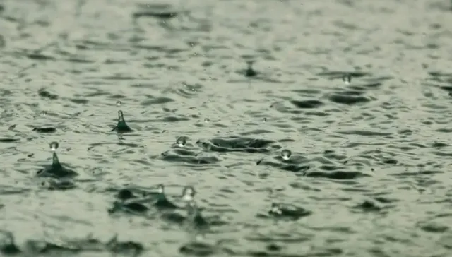 ¿Primavera?