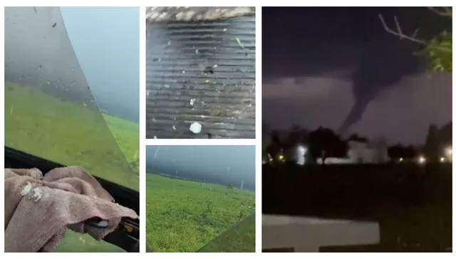 Lo que el viento nos dejó