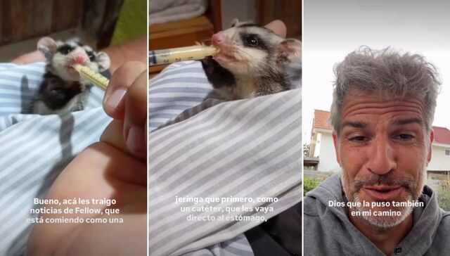 Vida de hogar