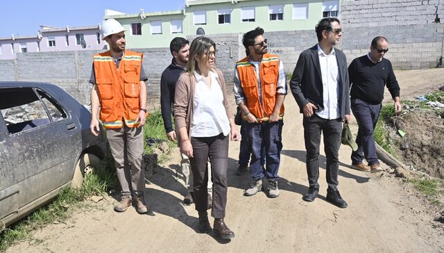 Raíces nuevas
