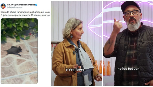 No es lo mismo bronca que rabia