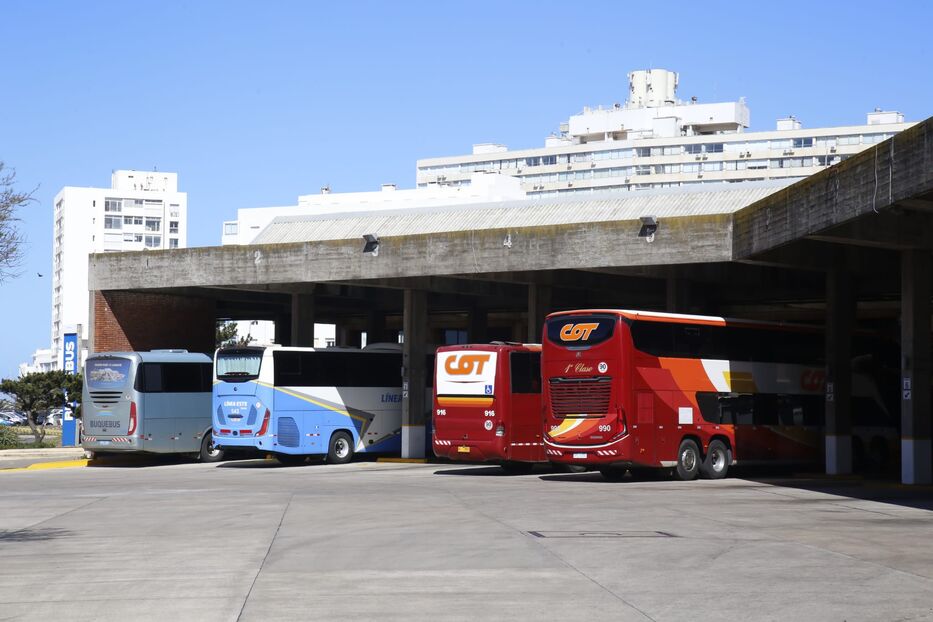 Marcha atrás: Intendencia de Maldonado suspende cambios en terminal de Punta del Este