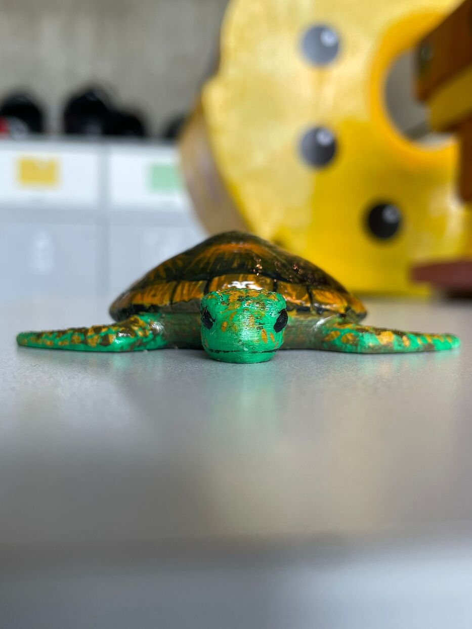 La tortuguita del resonador lúdico.