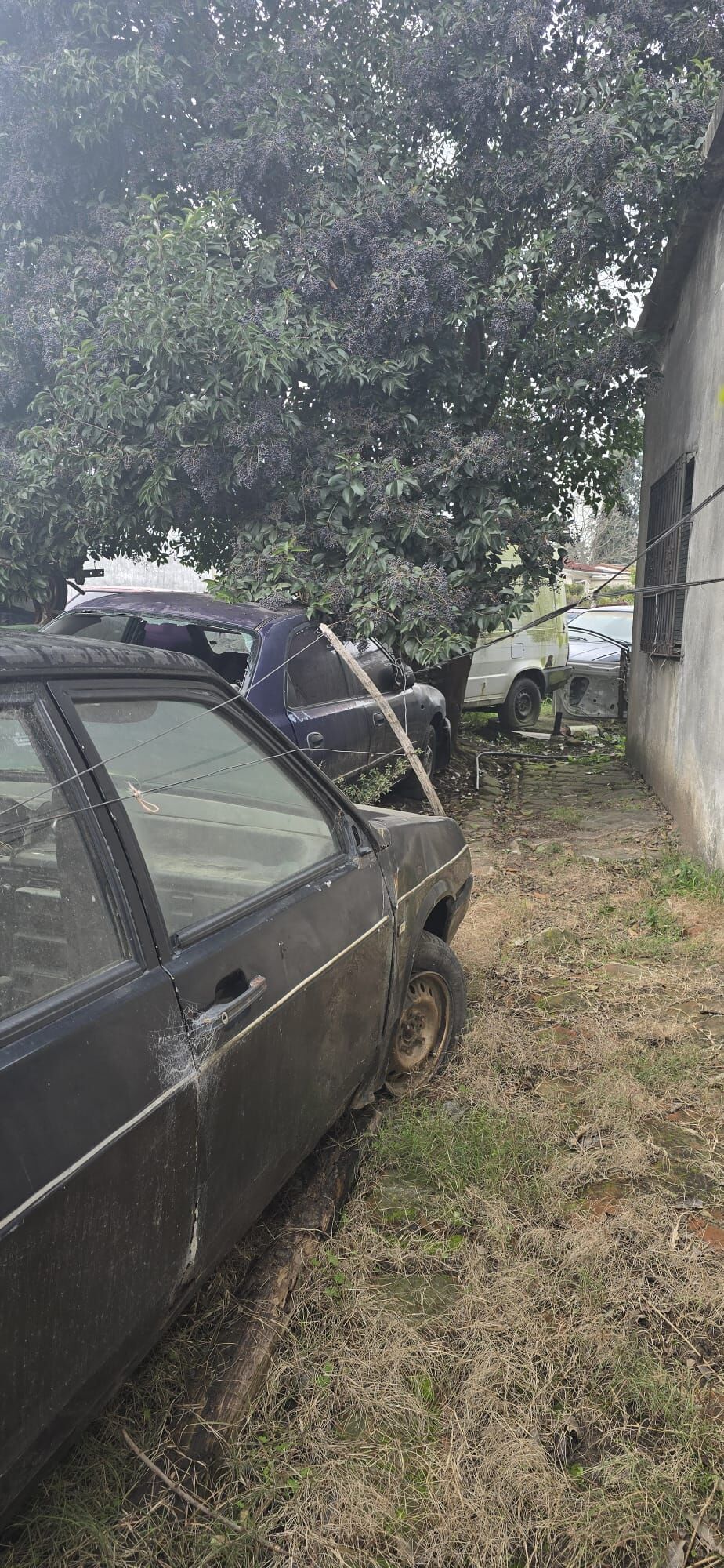 Zona de desagües de la casa de Julio y su esposa. Foto: Montevideo Portal