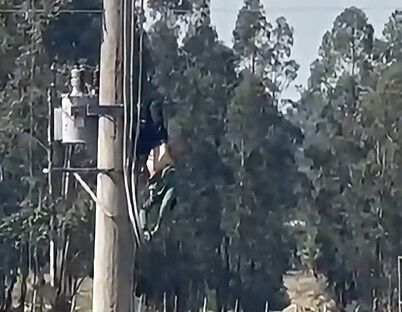 San José: hombre de 35 recibió descarga eléctrica cuando intentaba robar cables y murió