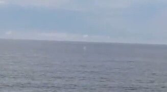 Una mañana de soplidos: ballenas fueron avistadas frente a La Pedrera este jueves