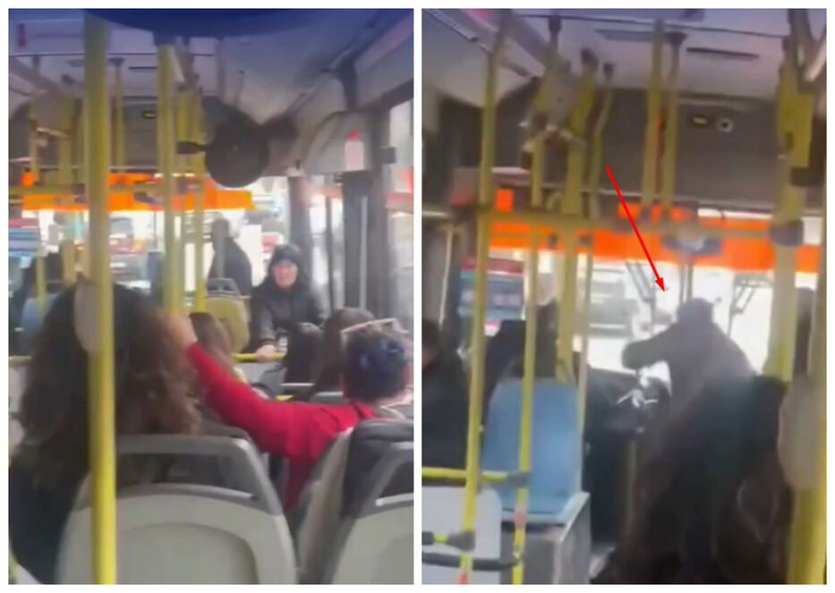 “¡Bajame, conchatuma…! Manoseó a una menor en el bus y el chofer lo llevó a la comisaría