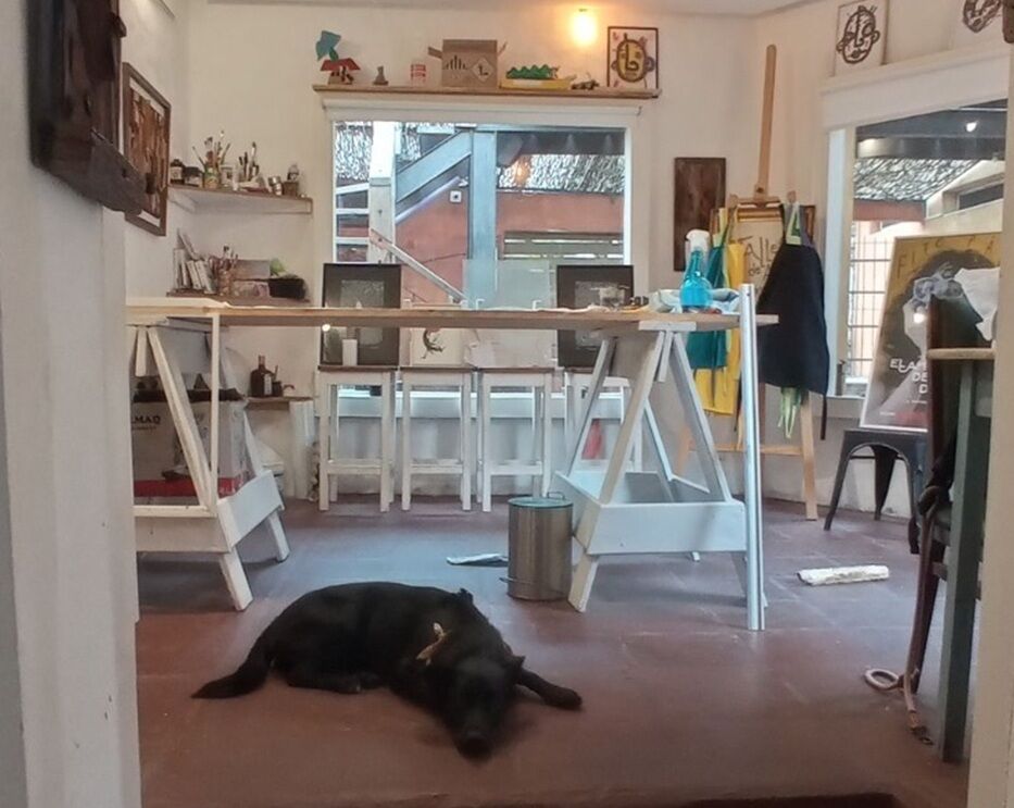 Foto: cedida a Montevideo Portal