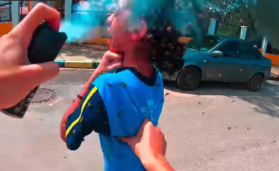 Tremendo: delivery salvó a una niña atacada por abejas y recibió más de 40 picaduras