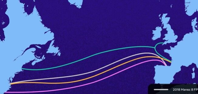 Meta anuncia Petal, el primer cable submarino transoceánico de un petabit