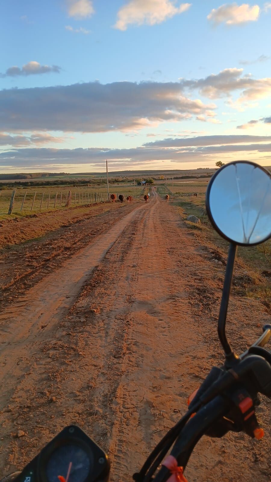 El camino de acceso a La Mazamorra.