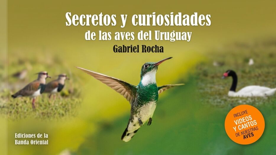 Ilustrativa