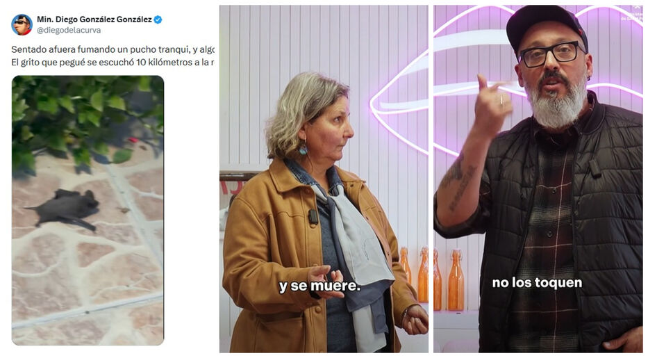 “No los toquen”: anécdota de Diego González con un murciélago se convirtió en advertencia