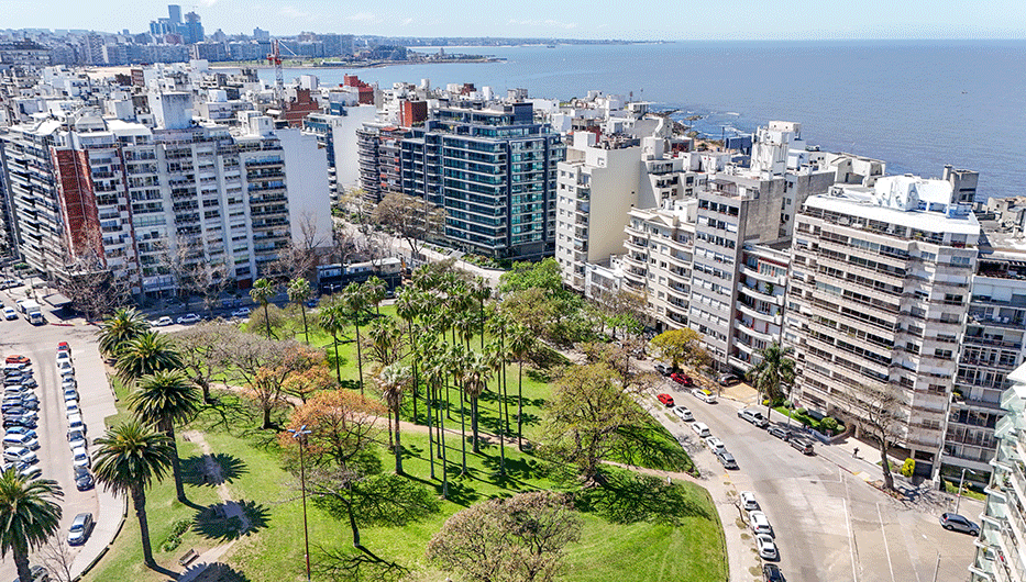 Imagen cedida a Montevideo Portal
