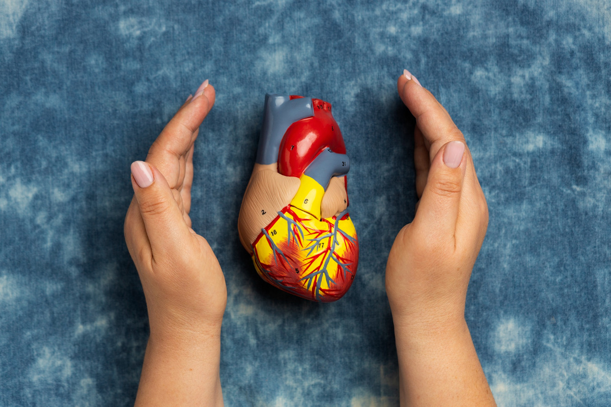 Mortalidad cardiovascular baja en Uruguay, pero sigue siendo la principal causa de muerte
