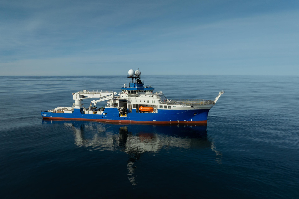 La expedición submarina en Argentina que causó furor mundial descubre 57 nuevas especies