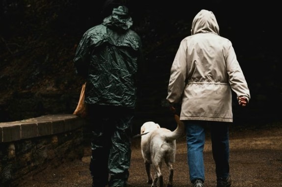 Cómo cuidar el pelo de perros y gatos en días de lluvia y humedad