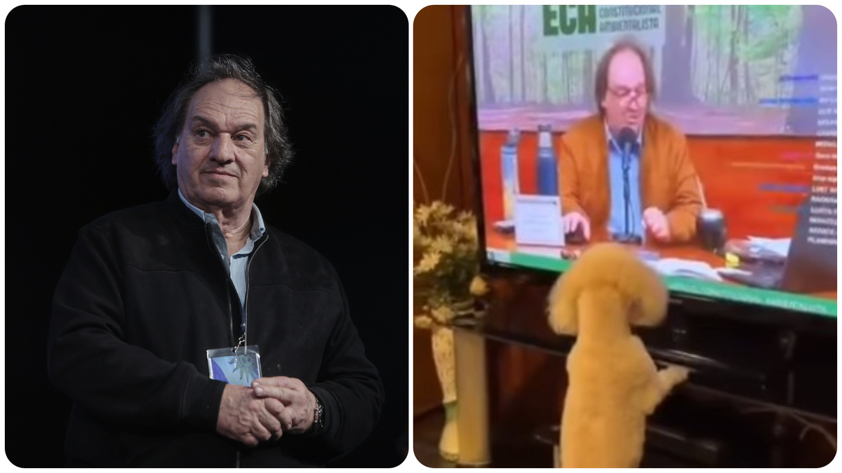 “Gracias a nuestro seguidor canino”: el enternecedor video de Lust con un caniche
