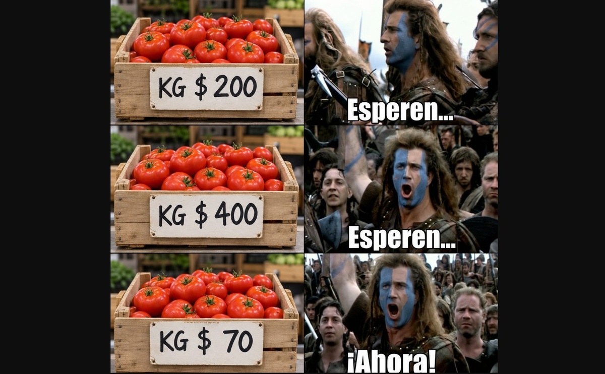 De 400 pesos a 70: tras cotizarse como oro, el tomate bajó drásticamente de precio