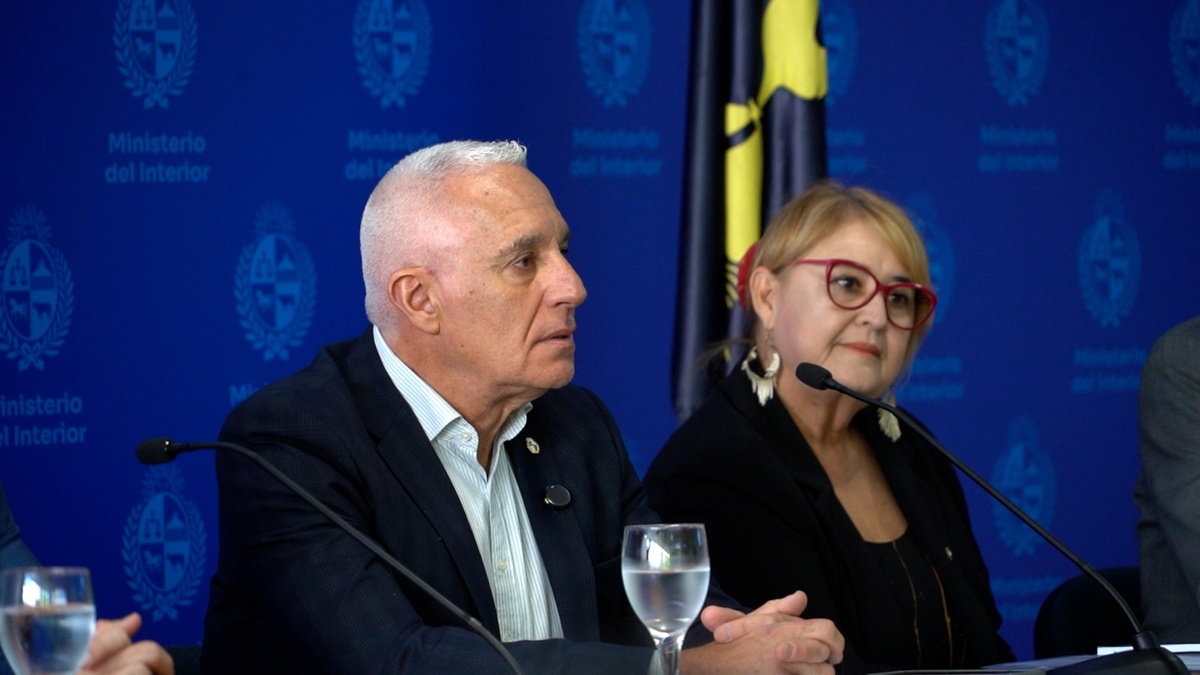 Gobierno presentó decreto que regula municiones y armas: trazabilidad, registro y más