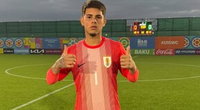 Goles por docena