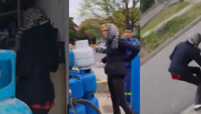 No vino, volvió