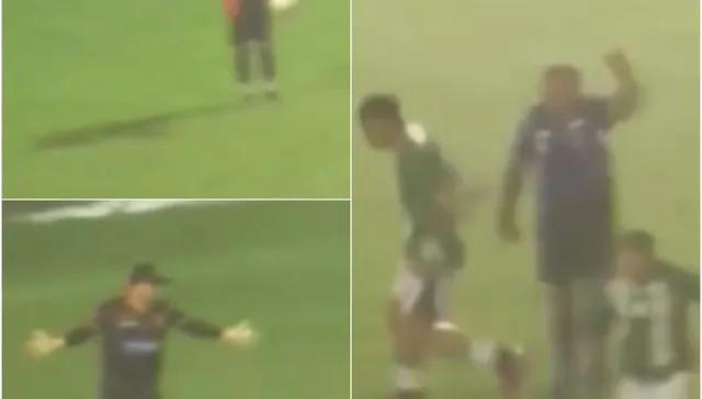 Pelota mojada