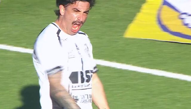 Viene al Pelo