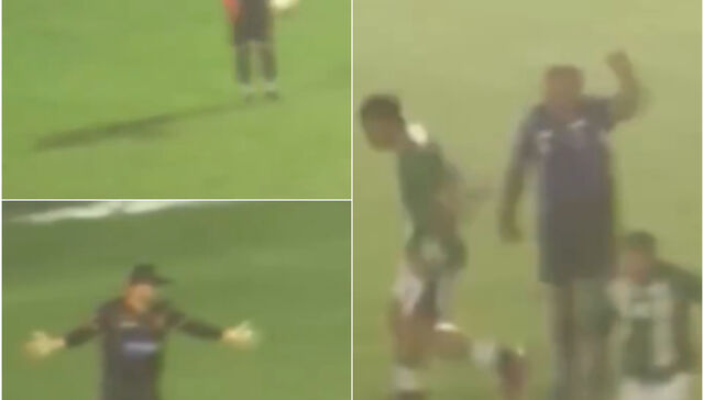 Pelota mojada