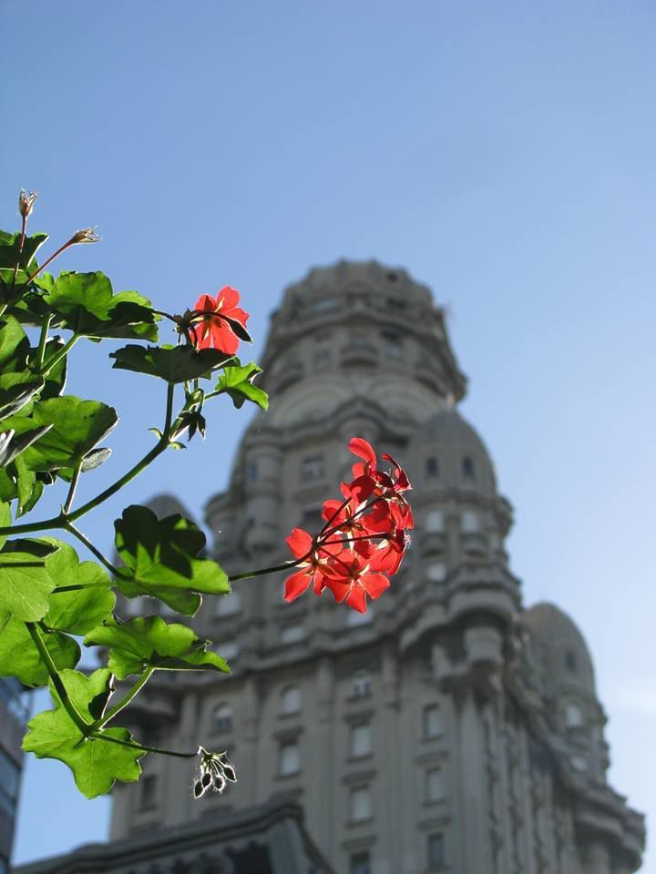Gerardo Carrasco / Montevideo Portal