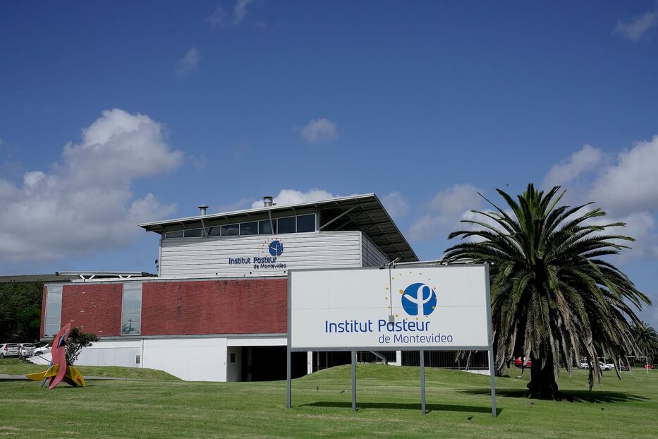 Institut Pasteur de Montevideo