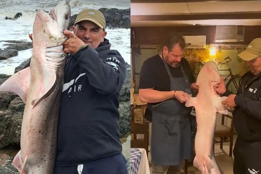 Pescadores sacaron un tiburón pintarroja en Playa Verde y lo comieron: “¡Qué belleza!”