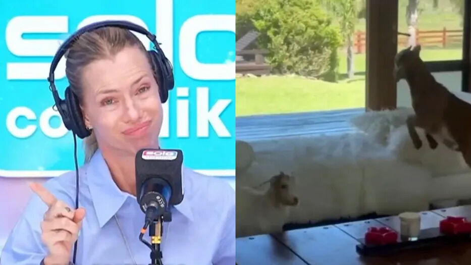 Nicole Neumann respondió a la denuncia por sus cabras: “Tengo que poner un alambrado”