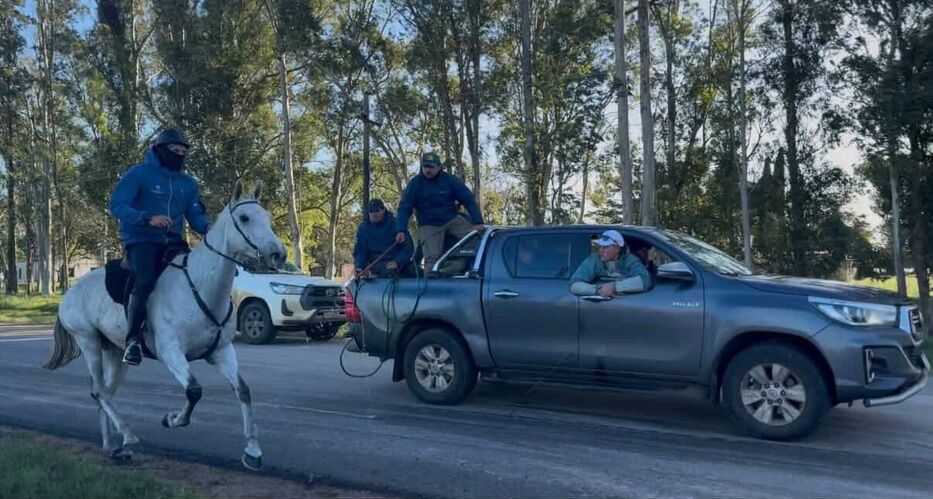 Las carreras pueden superar los 100 kilómetros.