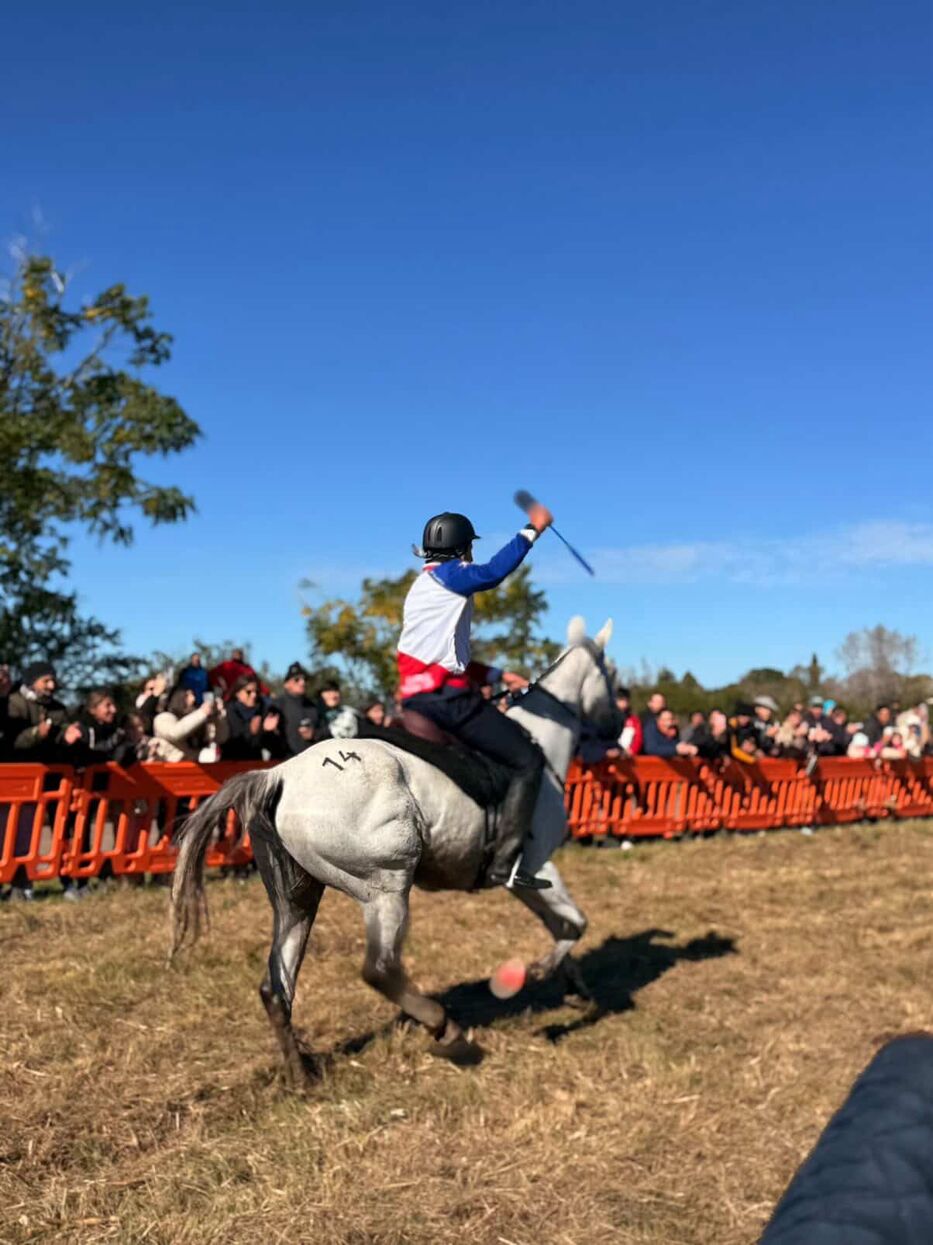 Los caballos reciben un cuidado especial.