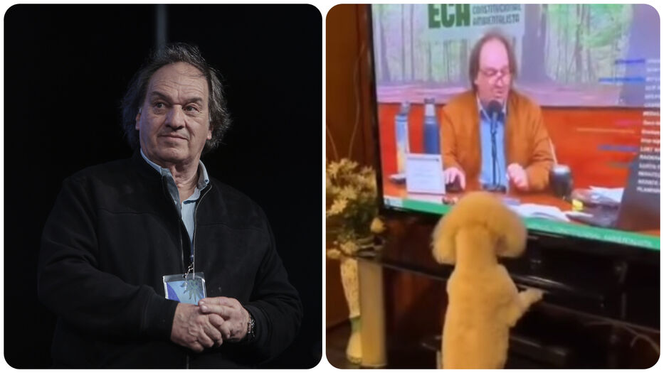 “Gracias a nuestro seguidor canino”: el enternecedor video de Lust con un caniche