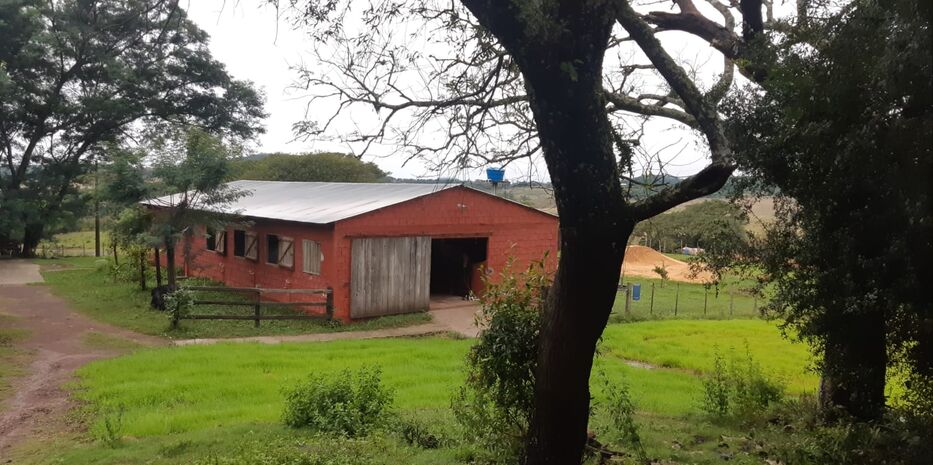 El centro de entrenamiento cuenta con todas las comodidades para el caballo.