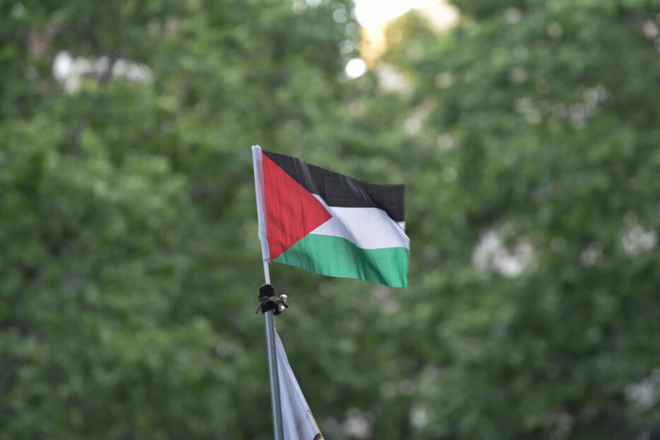 Coalición pidió excluir a dirigente palestina de un evento en el Parlamento: los motivos