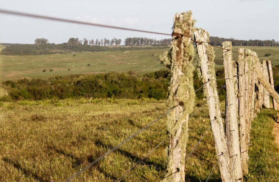 Peón rural internado grave luego de sufrir un accidente cuando trabajaba en una estancia