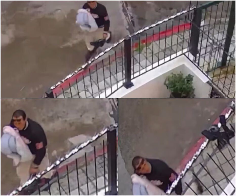 Robo a pastelería en Pocitos: “marcaron” la fachada y luego entraron; todo quedó grabado