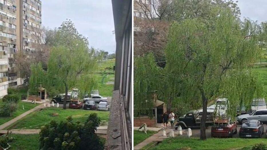 “Se están dando a muerte”: vecino grabó balacera que dejó a tres heridos en Malvín Norte