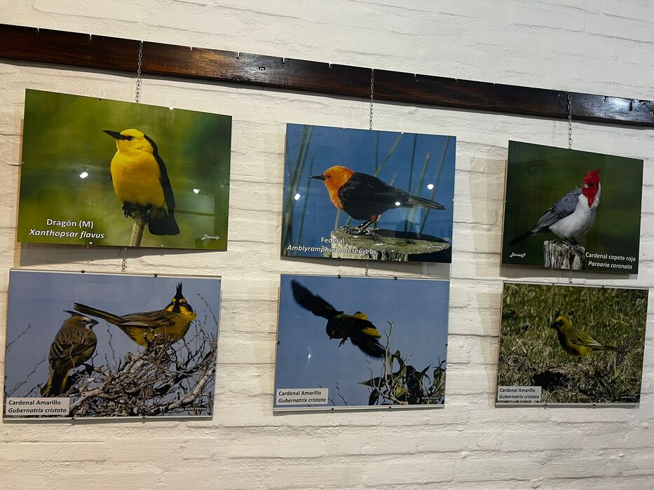 Muestra fotográfica.